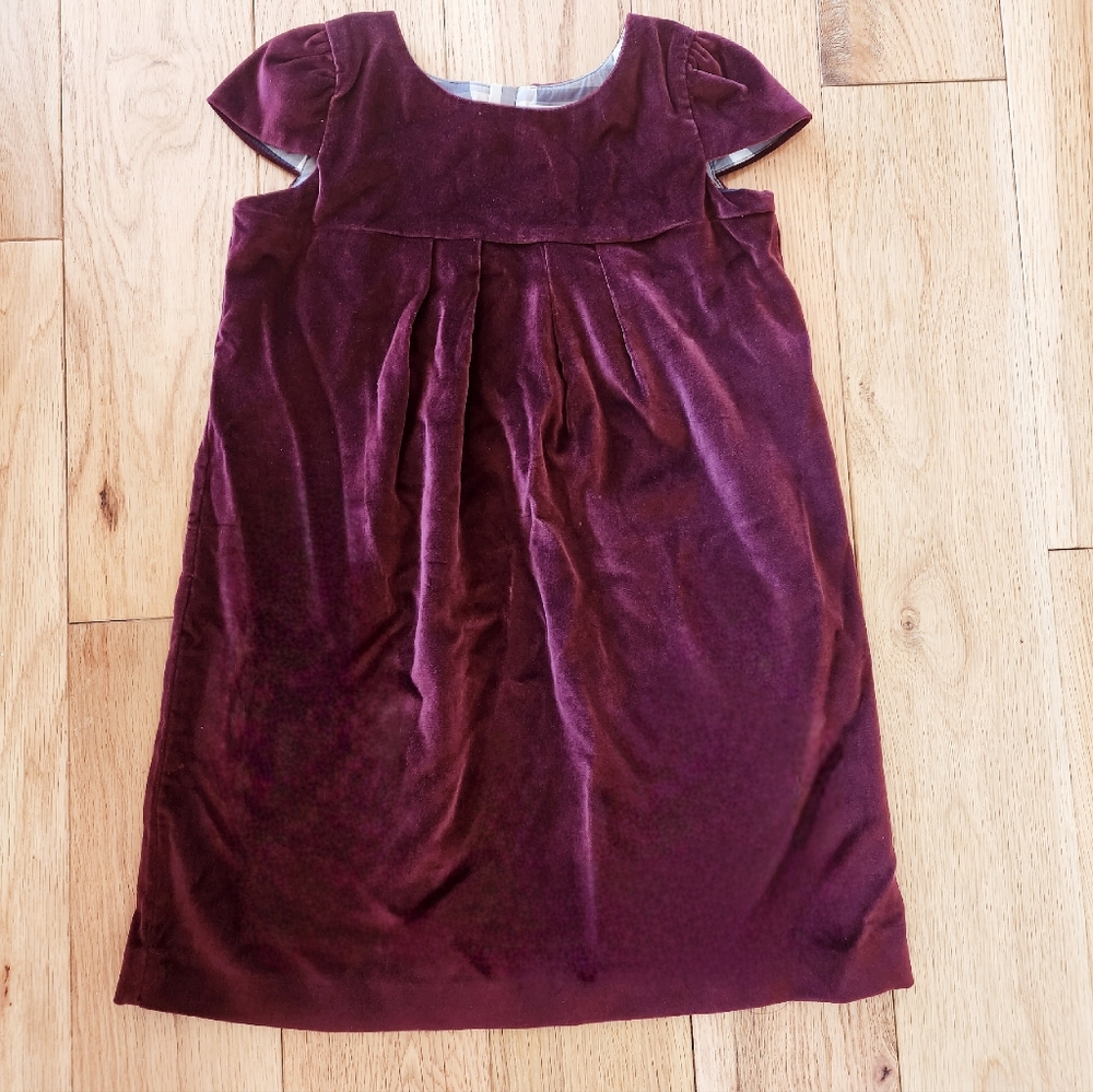Velvet Burberry Dress